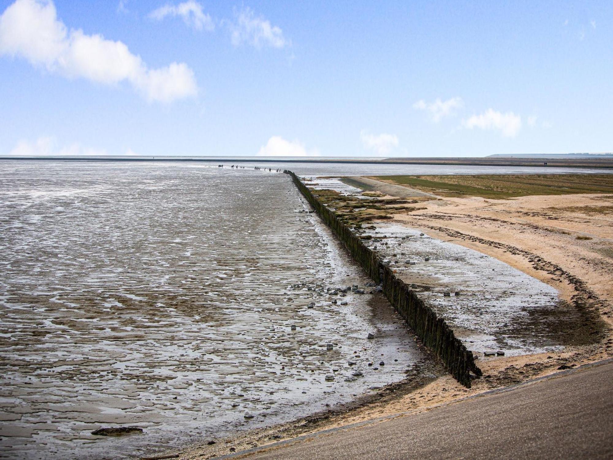 Paesens Fantastic Luxury Vacation Home And Next To The Wadden Sea מראה חיצוני תמונה